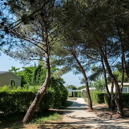 Campsite Le Des Reves 4*